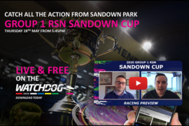 2020 Group 1 Sandown Cup Preview