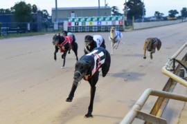 Saturday morning racing heads to Shepparton