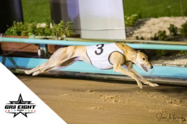 Gr8 run by Haze leaves rivals in a daze