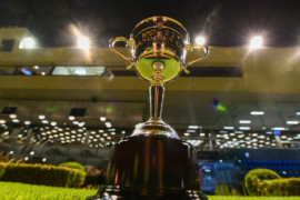7 interesting facts about the Sandown Cup