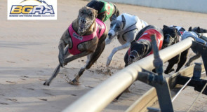 Gold Rush series unearths future stars yet again