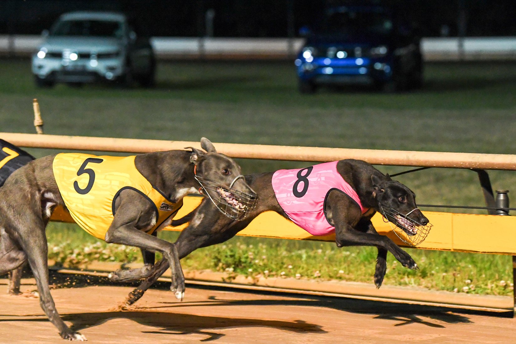 Nearest greyhound bus station image