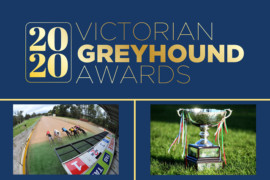 VGAs go ‘virtual’ on greyhound racing’s ‘Super Sunday’