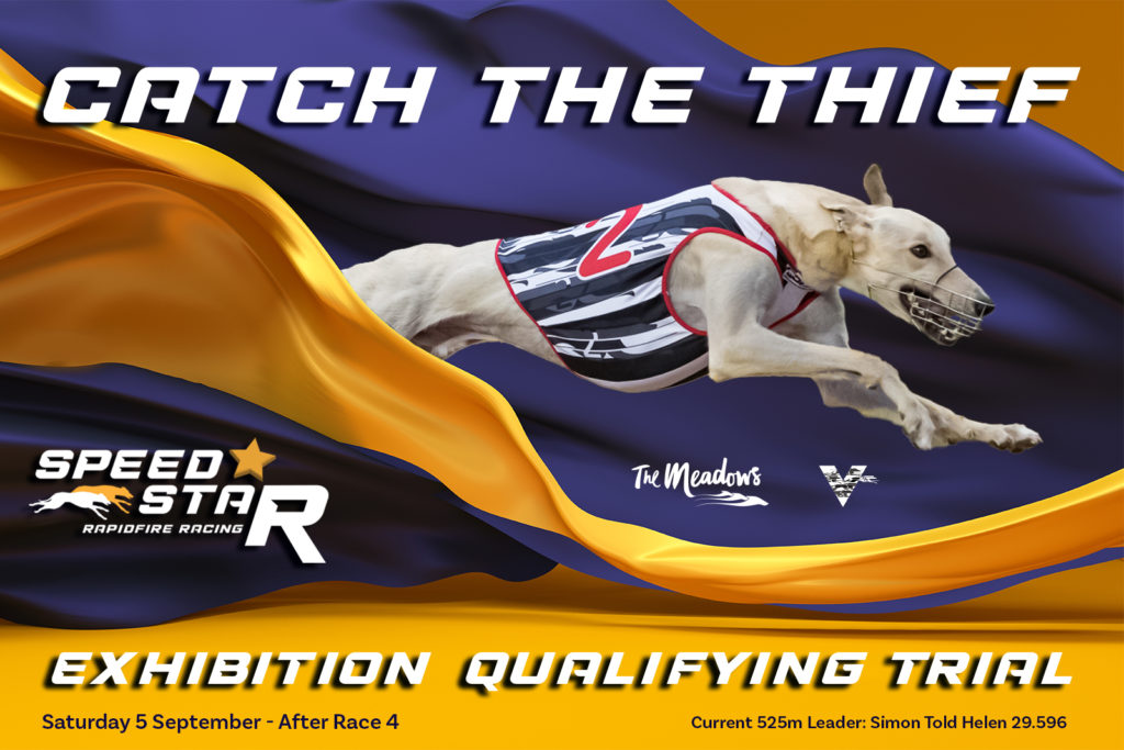 Catch The Thief Speed Star bound