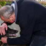 An elated Bill McMahon reunites with Dr. Tucker after the race.