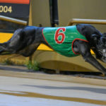 Extra Speed takes out the Alec Reid Memorial, a year after running 2nd in the Northern Districts Cup.