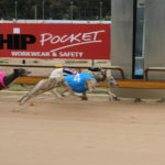 Hodge's Lane (4) hangs on to defeat Daniel Avocado in his final race.