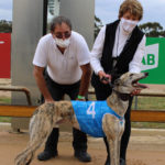 Hodge’s Lane with Bendigo GRA President Bob Douglas and Faye Wilkinson after his 102nd and final race start.