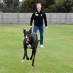 Jack Riewoldt slips a greyhound at Jason and Seona Thompson's property.