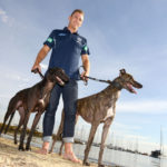 Joel Selwood with a pair of greyhounds on the Geelong waterfront.