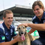 Joel Selwood and Tom Hawkins with a greyhound at Kardina Park as part of a promotion for the Australian Cup.