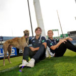 Joel Selwood and Tom Hawkins with a greyhound at Kardinia Park as part of a promotion for the Australian Cup.