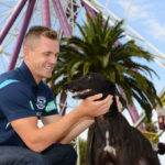 Geelong Captain Joel Selwood with a greyhound on the Geelong waterfront.