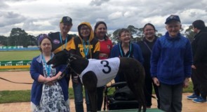 Flashback: Great Chase Sandown