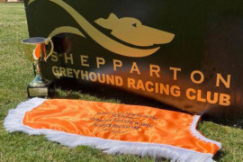 Feature races aplenty at Shepparton’s Northern Districts Cup night