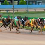 The TAB Melbourne Cup field charges into the first turn.