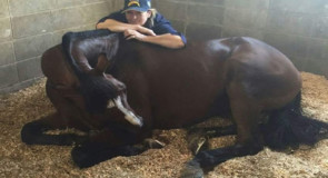 Prominent thoroughbred couple’s greyhound fixation