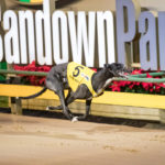 Tiggerlong Tonk held firm in the run to the finish line despite the best efforts of a closing Shima Shine.