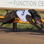 Short Pork cruised into the Ballarat Cup after being a reserve in the Melbourne Cup.