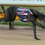 Fortuna Bale led all the way in 25.28sec.