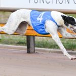 Daniel Avocado ran the race of his life clocking 25.16sec (Best).