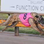 Yozo Bale took full advantage when a clear passage presented itself, scoring in 25.40sec.