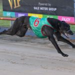 Hoffa takes out the Dunkley's Machinery Rising Stars Final for Glenn Rounds.