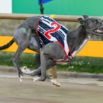 Quarantined takes out the inaugural Mandy 'Mumma' Shaw Memorial on Ballarat Cup night.