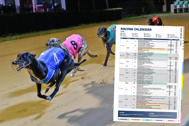 Victorian Racing Calendar December 2025 New Awasome Review of - January