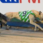 Zipping Sulllivan wins the Sale Motor Group Summer Cup Final for Deborah Coleman.