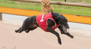 Young gun Duncan just loves to play