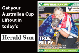 Consistency the key to Bluey’s red-hot form