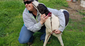 George and Roz – A love story