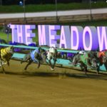 Fernando Bluey (6) charges into the first turn in the Australian Cup.