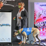 MC Lucy Brennan with GRV's Strategic Communication and Marketing Manager, Louise Martin and her pet greyhound Princess.