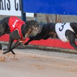 Pilbara (3) defeats Aston Kilpchoge (1) in the Victoria Cup.