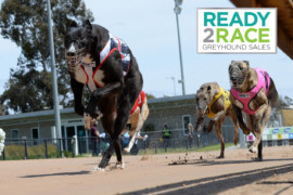 March R2R auction cancelled