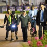 Stanley Road handled by caretaker trainer Paul Bartolo.