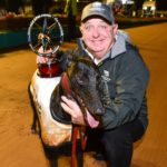 Stanley Road with caretake trainer Paul Bartolo and the prized Super Stayers trophy.