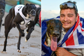 Tonk’s tough Cup task