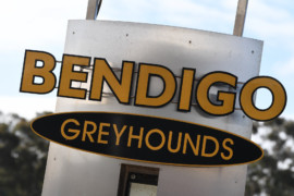 Bendigo’s ‘golden gang!