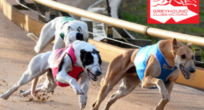 Trial Calendar changes to cater for Sale upgrade