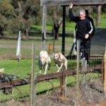 Gary Brett slipping greyhounds at Longwood