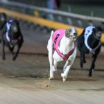 Ferdinand Boy powers to the finish line ahead of Fortuna Bale (7) and Bound To Succeed (3).