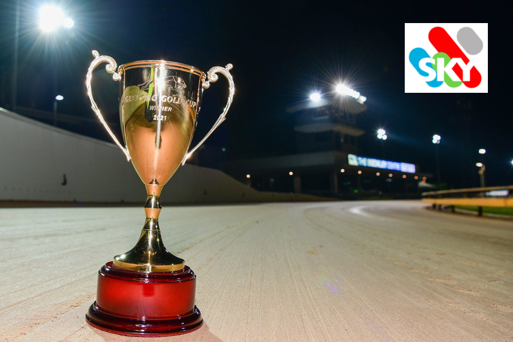 Geelong Gold Cup Heats Preview