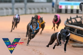 Victoria introduces exciting racing initiatives