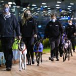 Greyhounds head to the boxes for the $250,000 G1 RSN Sandown Cup.