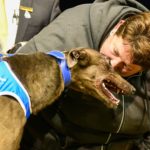 Lisa Delbridge, wife of trainer Mark, plants a kiss on Zipping Rambo.