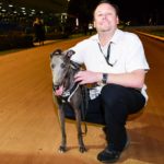 Maggie Moo Moo with handler Jason Ireland.