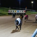 Qwara Bale (3) charges to the finish line well clear of her rivals in the Warrnambool Cup.